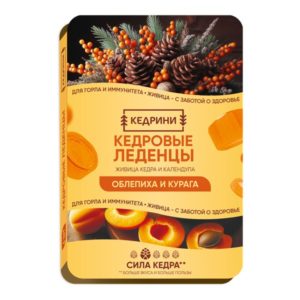 Леденцы Кедрини кедровые Облепиха и курага, 19,2 г (Радоград)