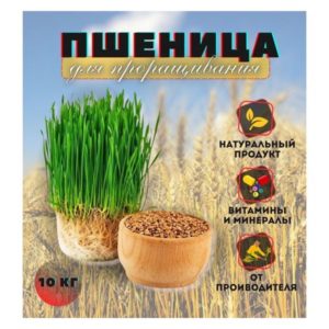 Зерно: Пшеница БИО (Тверская обл.), 500 г
