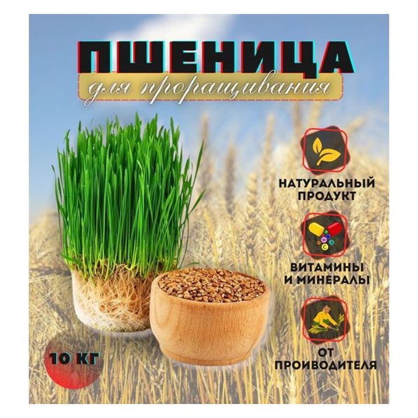 Зерно: Пшеница БИО (Тверская обл.), 500 г 1 Зерно: Пшеница БИО (Тверская обл.), 500 г