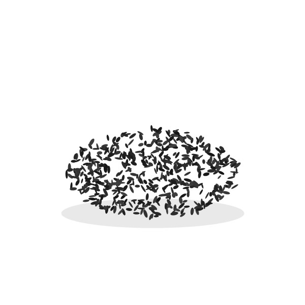 Семена Кунжут Черный (Индия), 250 г 1 Семена: Кунжут Черный (Индия), 250 г