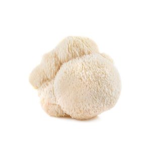 Бад: мицелий Ежовика Гребенчатого, 50 г
