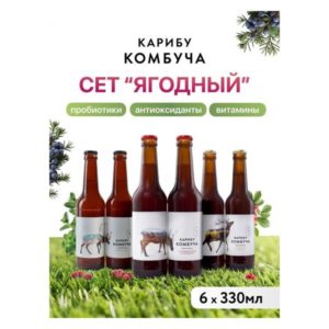 Комбуча ReLive (имбирь, малина), 330 мл